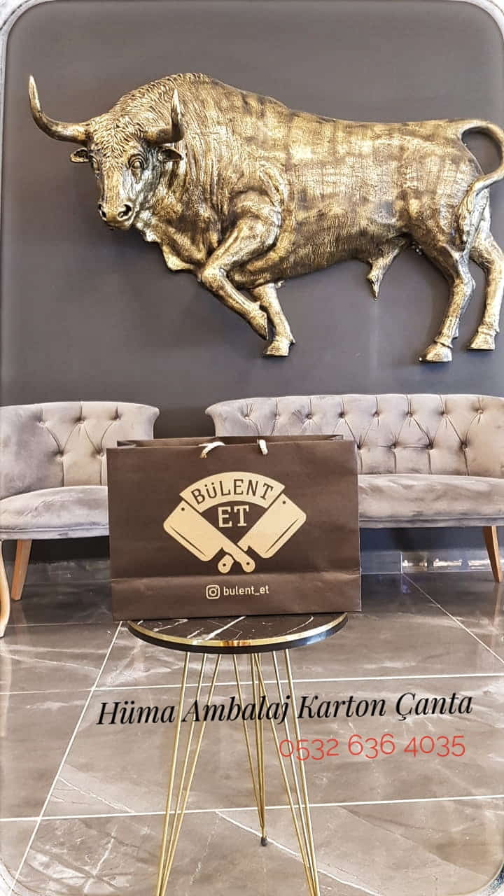 BÜLENT ET | AYDIN KRAFT KARTON ÇANTA MODELİ