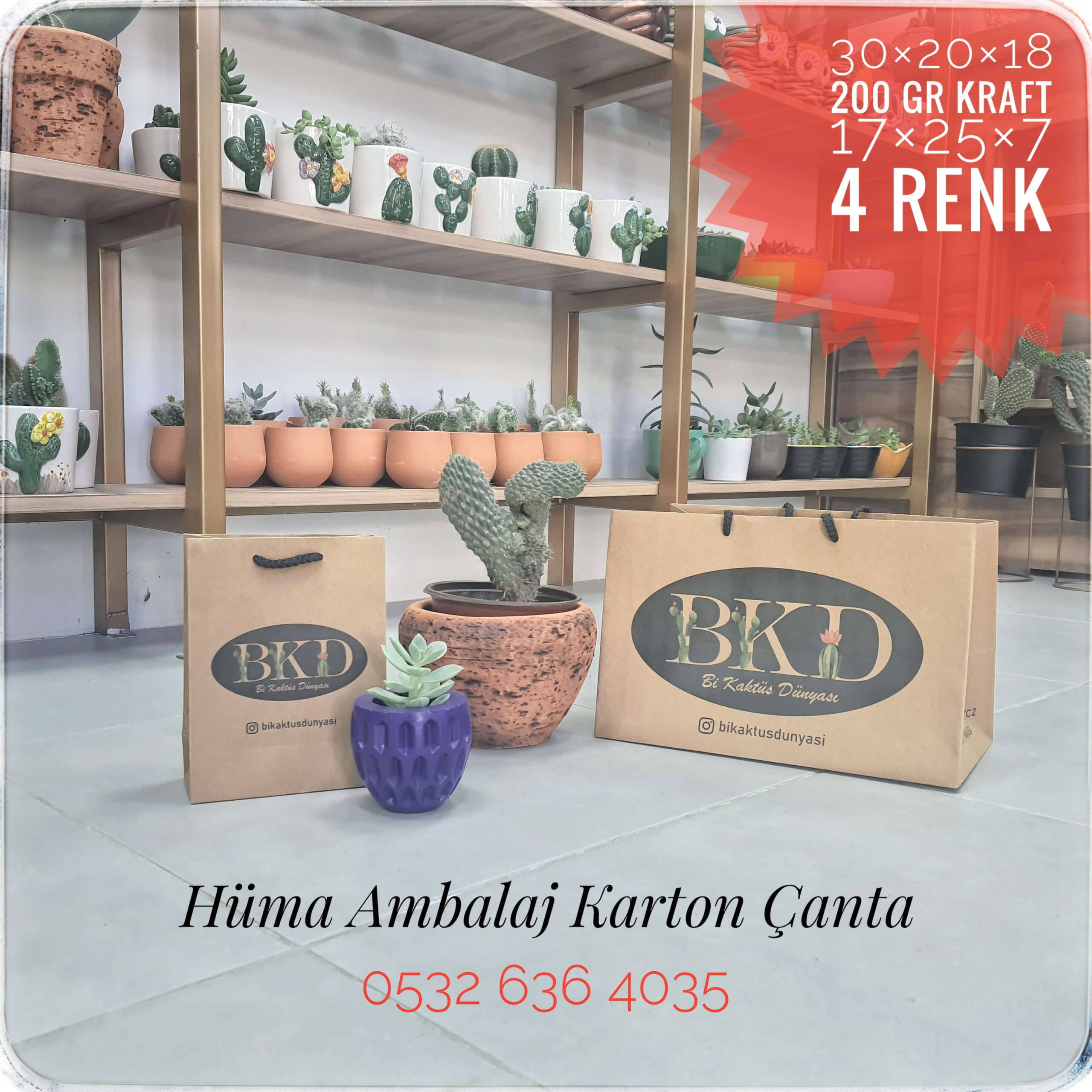 BKD KAKTÜS | MANİSA KRAFT KARTON ÇANTA MODELİ