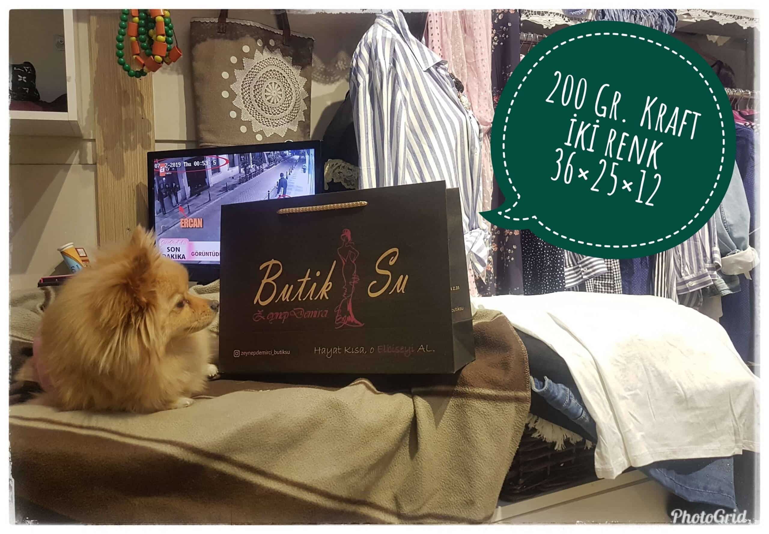 BUTİK SU | İZMİR KRAFT KARTON ÇANTA MODELİ