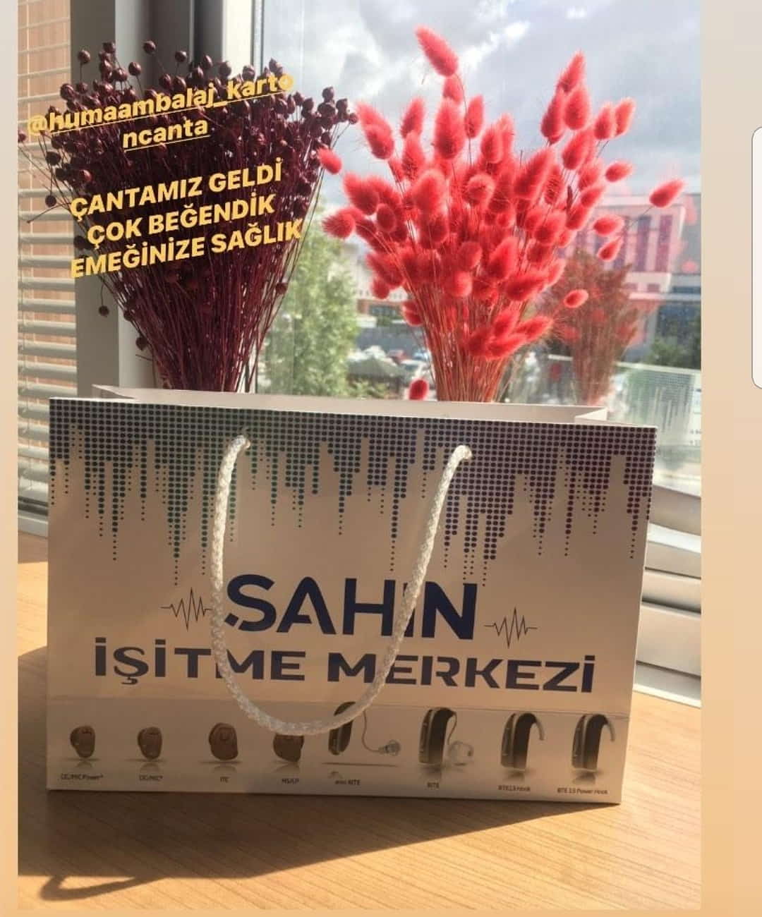 ŞAHİN İŞİTME MERKEZİ | SAKARYA KRAFT KARTON ÇANTA MODELİ